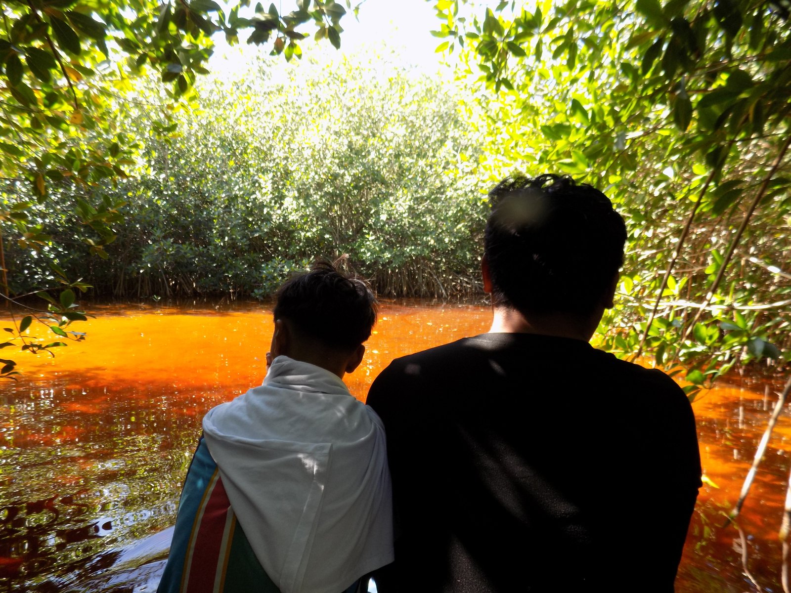 Imagen de Visita al Ojo de Agua (Manantial Costero)
