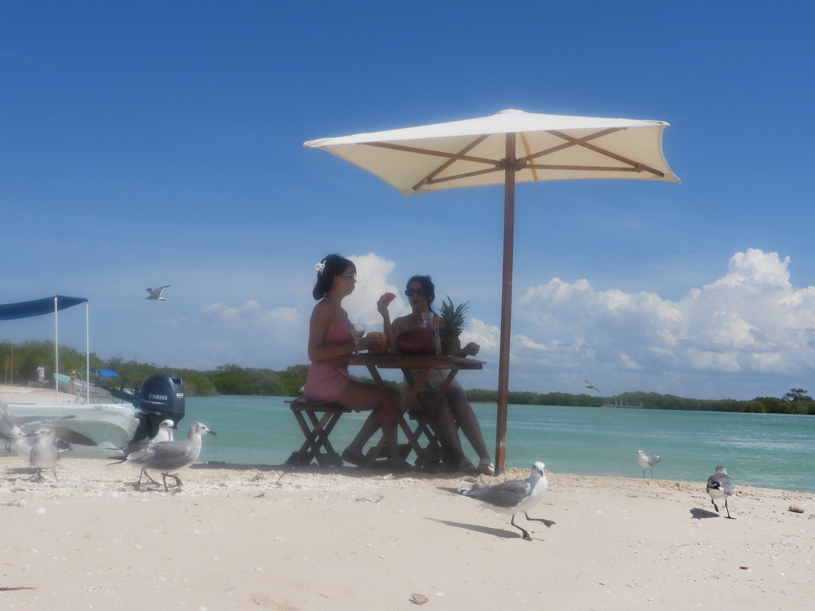 Imagen de Pasadía en La Bocana: 4 Ecosistemas & Picnic en la Playa
