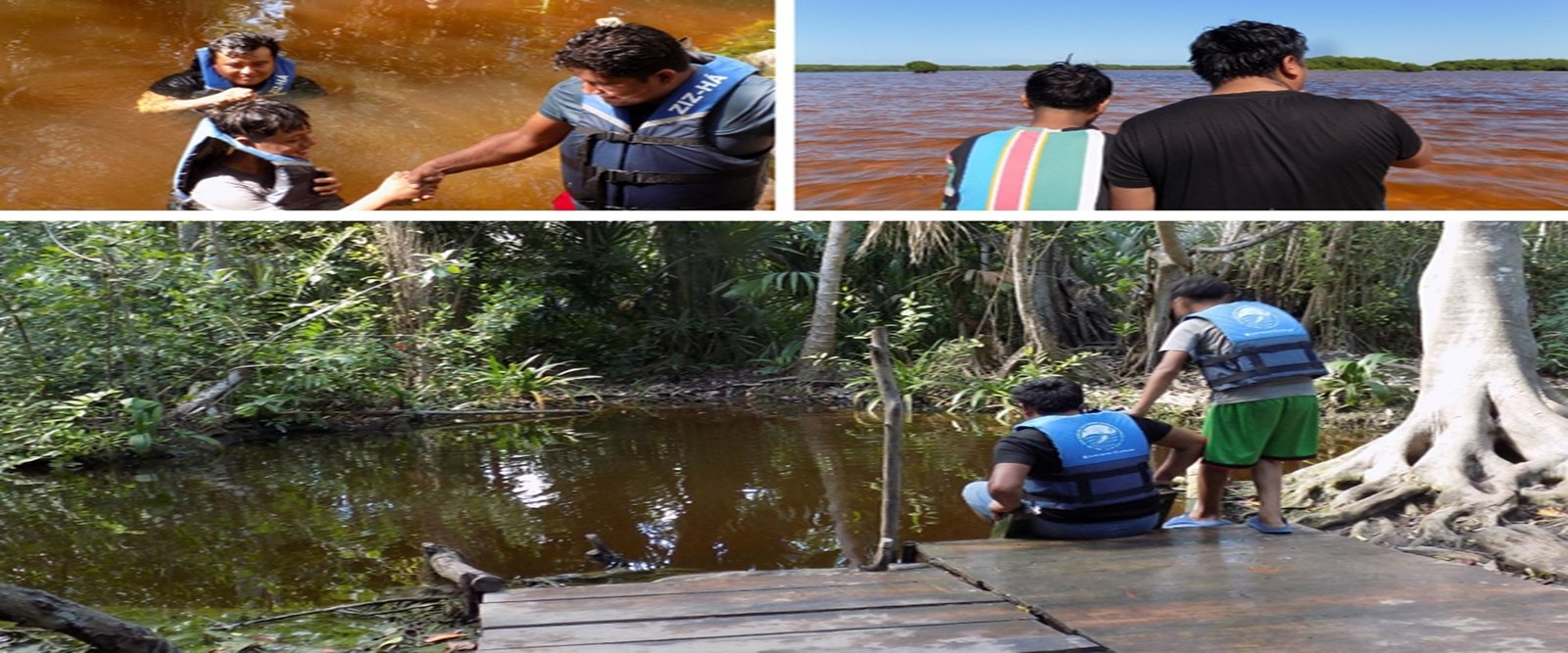 Sisal al Natural: Encuentro con la Vida Silvestre y Aventura