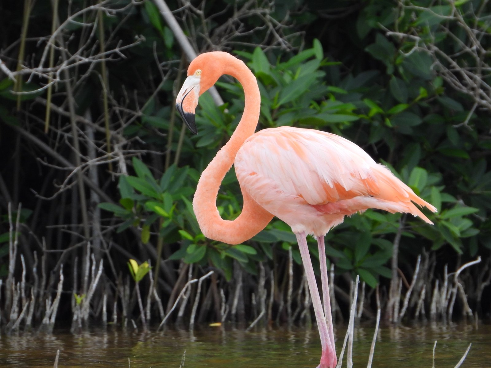 Joven sentado junto a ruinas antiguas